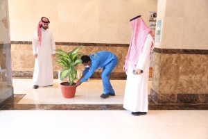 ضمن مبادرة السعودية الخضراء: وكالة المكتبات والشؤون الثقافية تفعل مبادرة الغطاء النباتي بين أروقة مبنى مكتبة الحرم المكي الشريف
